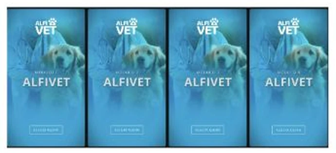 Capas dos módulos do ALFIVET